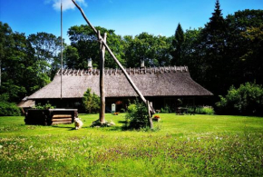 Kotka Farm in Saareküla